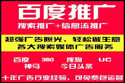 百度竞价运营的挑战与机遇：成功案例探讨